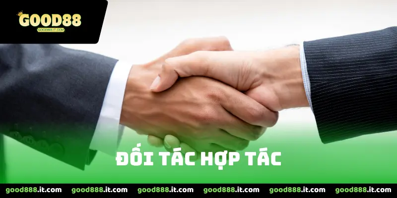 Đối Tác Hợp Tác